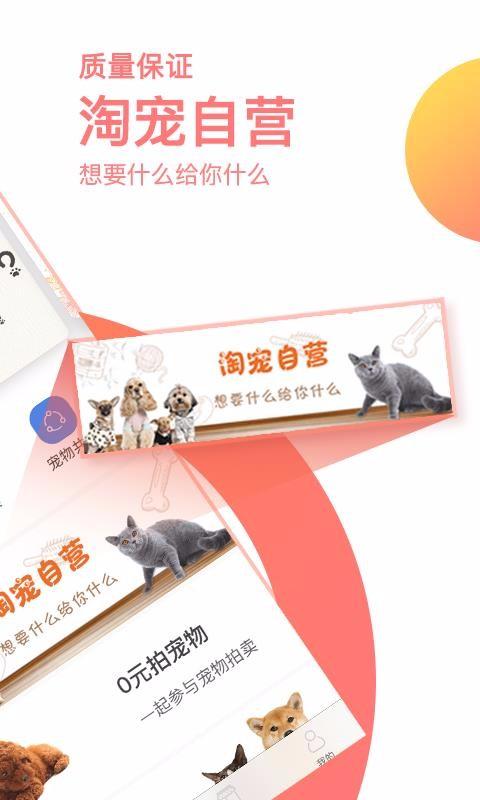 淘宠网app下载,淘宠网安卓版
