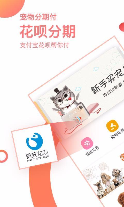 淘宠网app下载,淘宠网安卓版