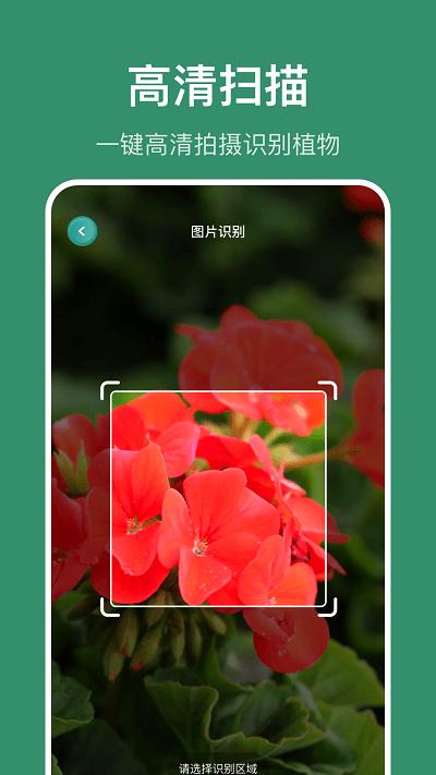 花仙识花草app下载,花仙识花草,识花app,工具app