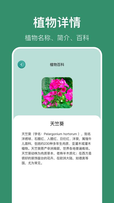 花仙识花草app下载,花仙识花草,识花app,工具app